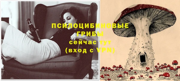 стаф Хадыженск