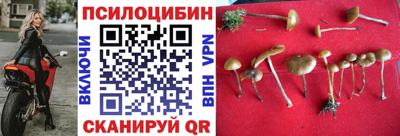 купить наркотики сайты Арск Псилоцибиновые грибы MAGIC MUSHROOMS